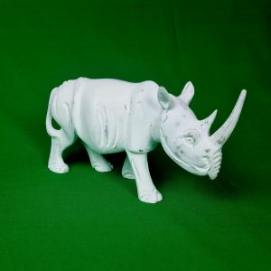 Wood carvings - Rhino white
