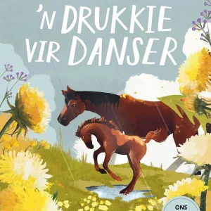 'n Drukkie vir Danser - Wendy Maartens
