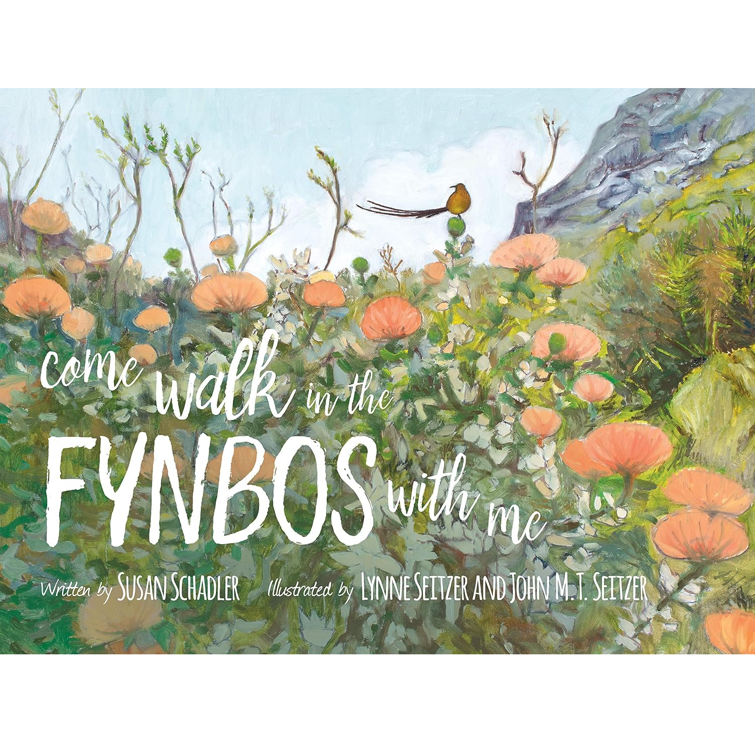 Walk in the Fynbos with me