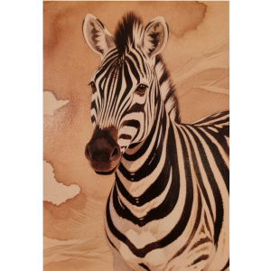 Postcards - African Animal Images