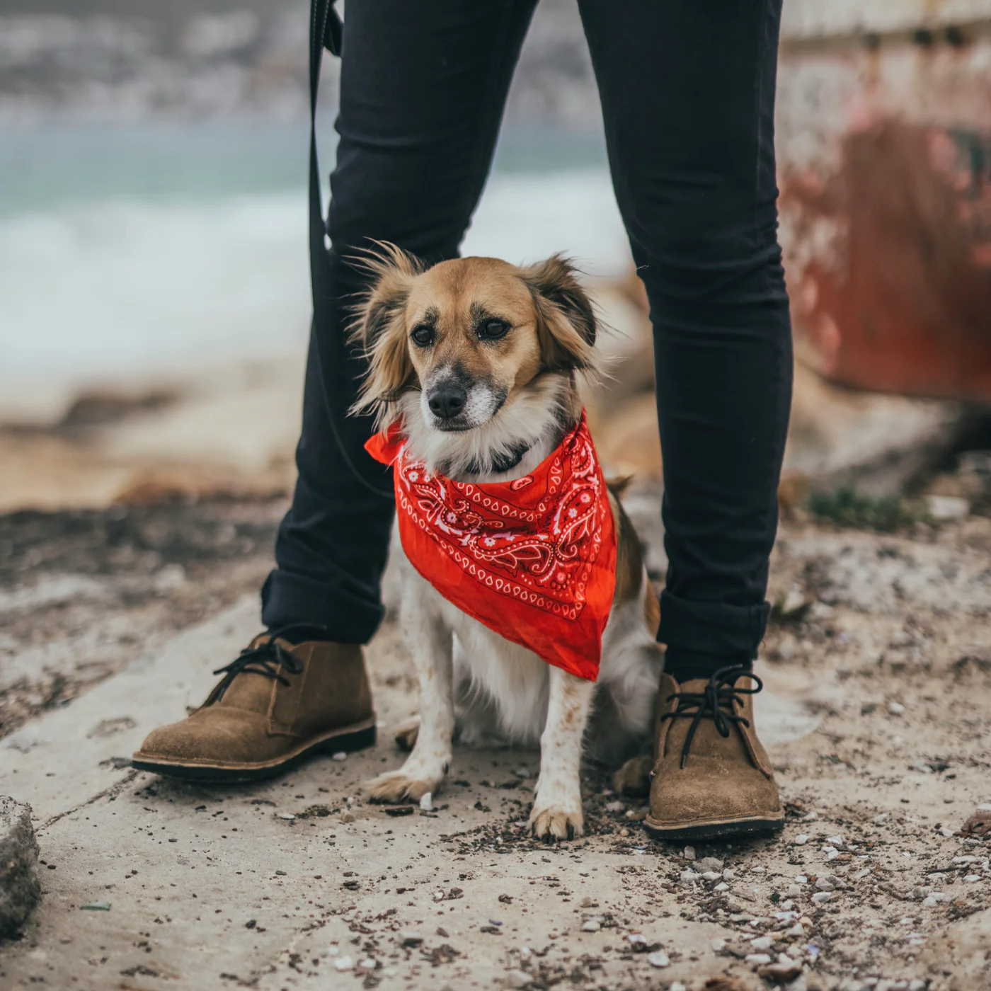 Veldskoen Heritage Safari Black in action