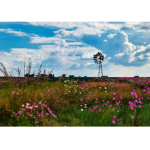 Windmill - Free State farm