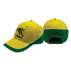 Bafana Bafana Cap